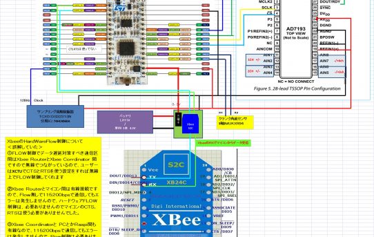 【パワーメーター2019】総集編ダイジェスト＜基礎固めは出来た＞